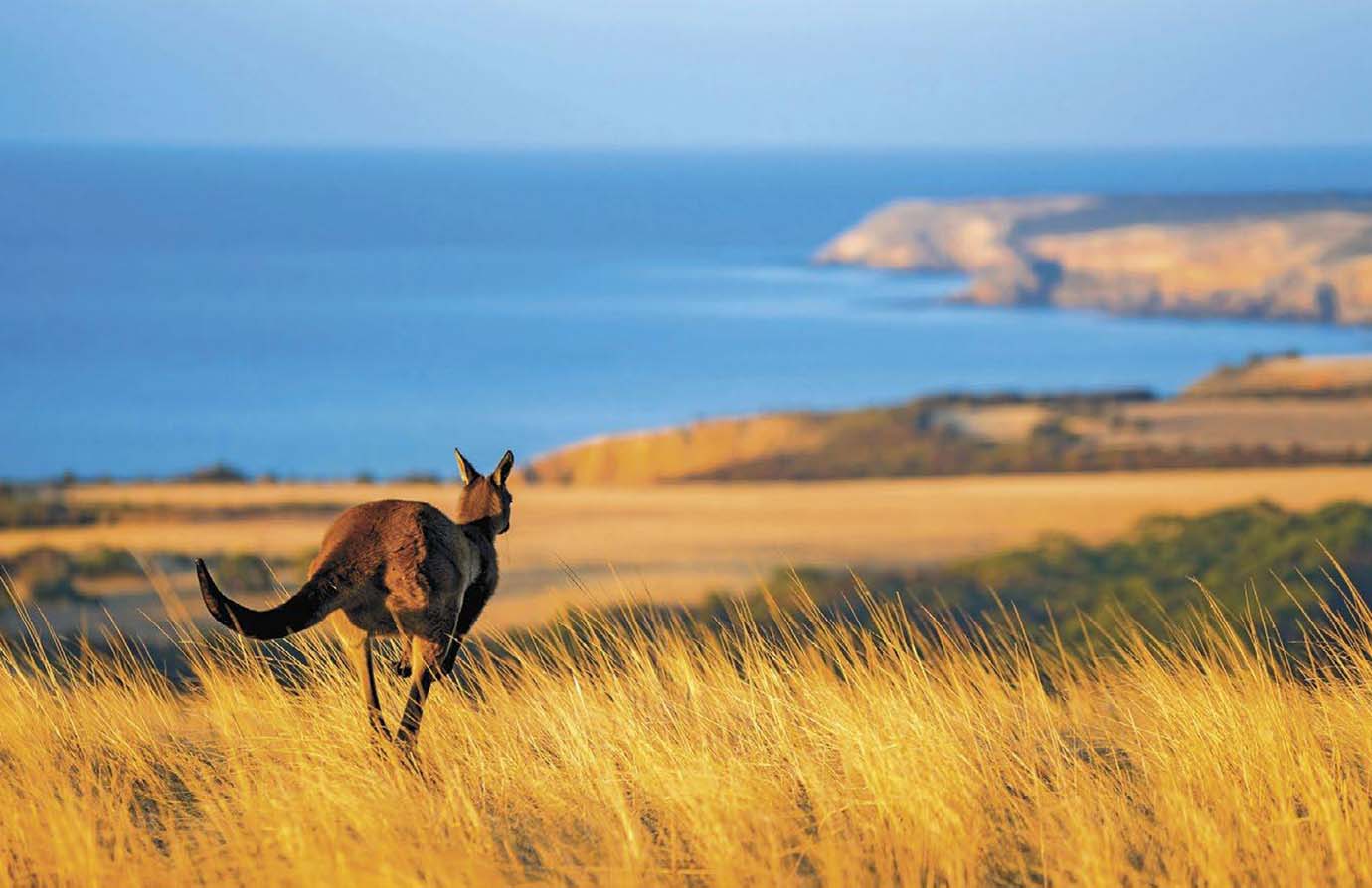 Australia Unveiled: A Bounty of Natural and Cultural Riches