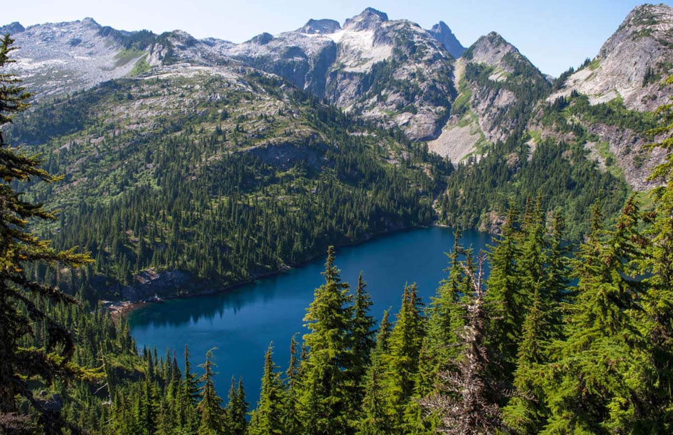 Embracing Nature’s Canvas: A Sojourn in the Enchanting Pacific Northwest